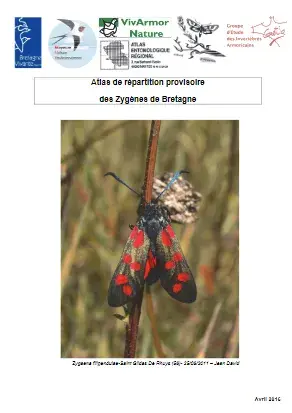 photo_269263