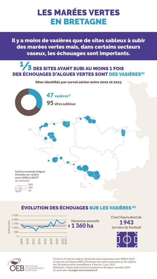 Infographie sur les algues vertes en Bretagne
