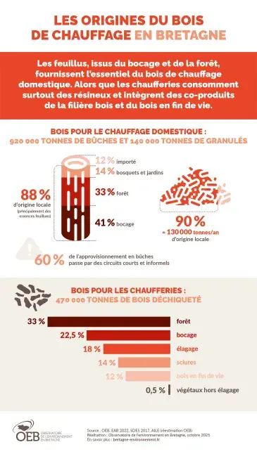 Infographie Les origines du bois de chauffage en Bretagne