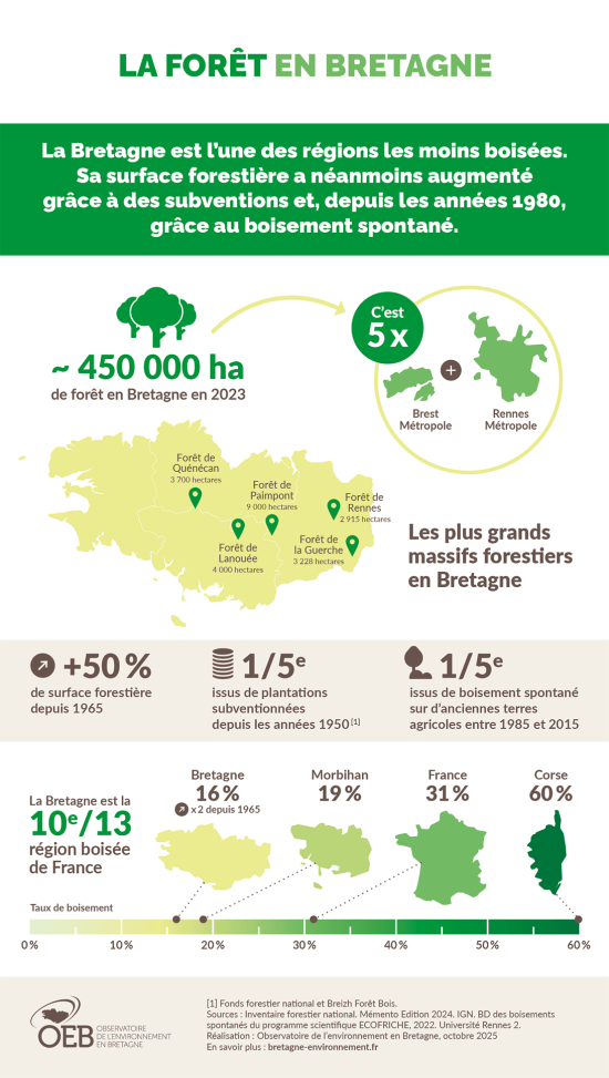 Infographie La forêt en Bretagne