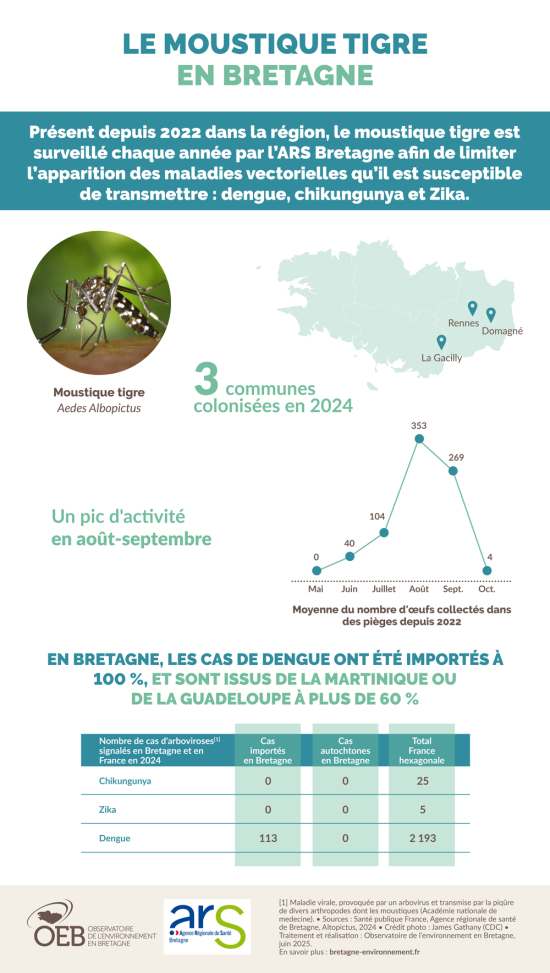 infographie moustique tigre en Bretagne 2025