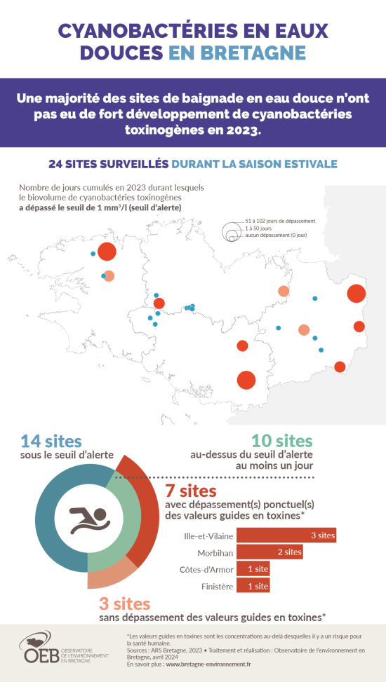 Infographie Cyanobactéries en eaux douces en Bretagne