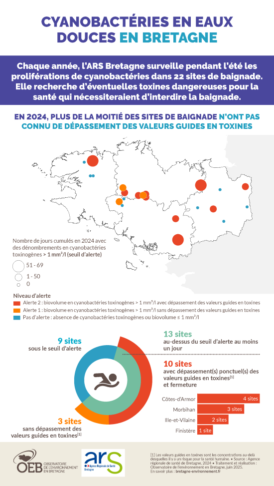 Infographie Cyanobactéries en eaux douces en Bretagne