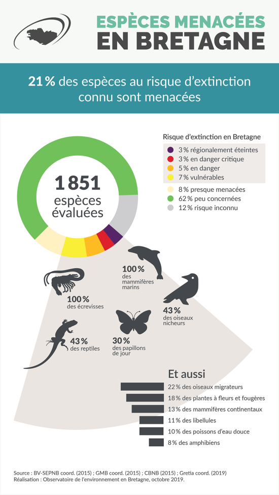 Infographie Espèces menacées en Bretagne