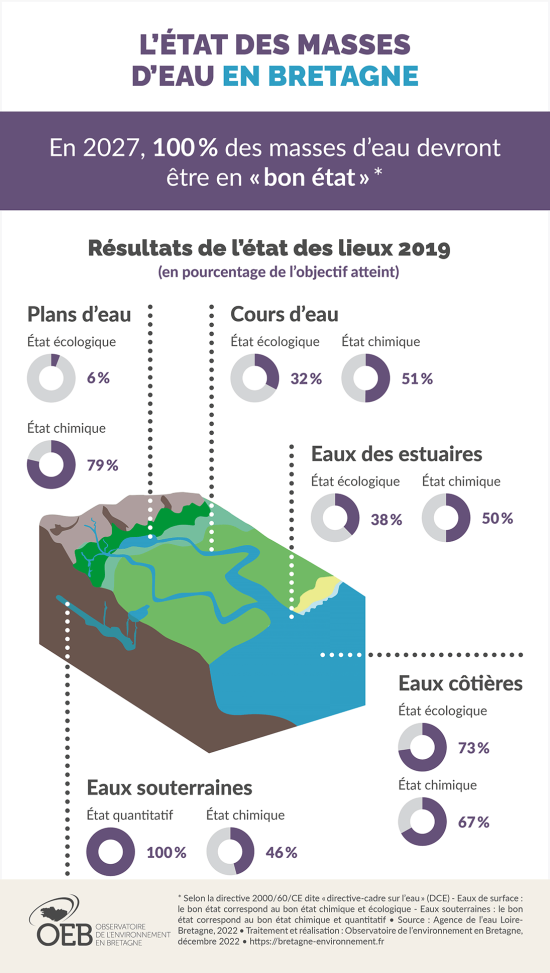 Infographie L'état des masses d'eau en Bretagne