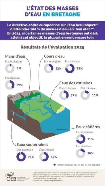 Infographie L'état des masses d'eau en Bretagne