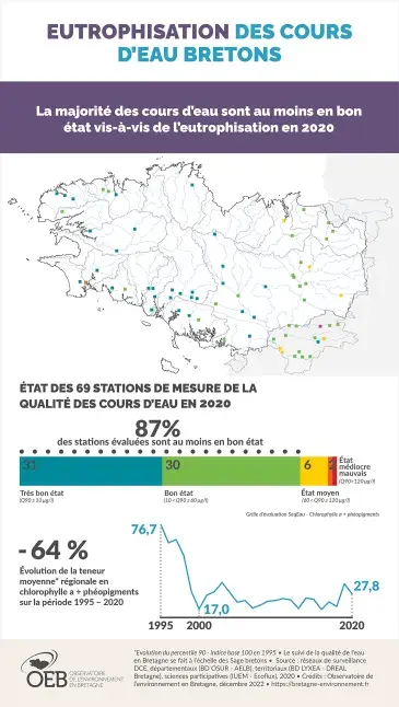 Infographie Eutrophisation des cours d'eau bretons