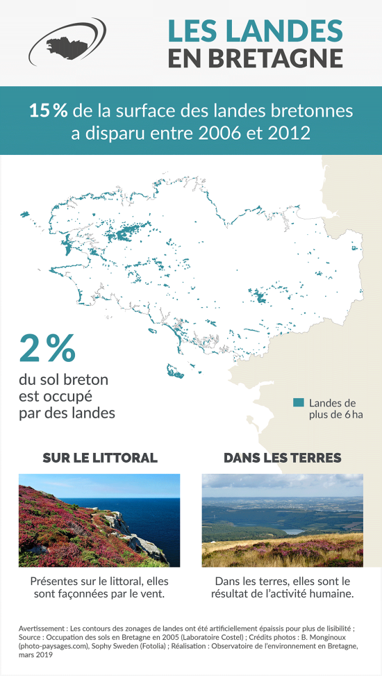 Infographie Les landes en Bretagne