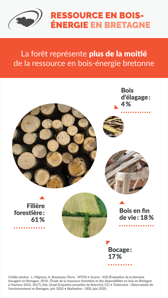 Infographie Ressource en bois-énergie en Bretagne