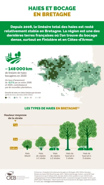 Infographie haies et bocage en bretagne