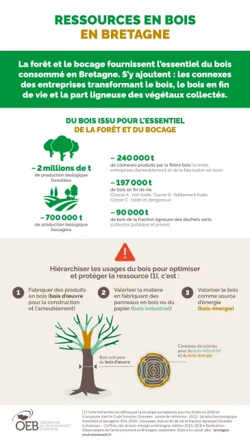 infographie ressources en bois en Bretagne