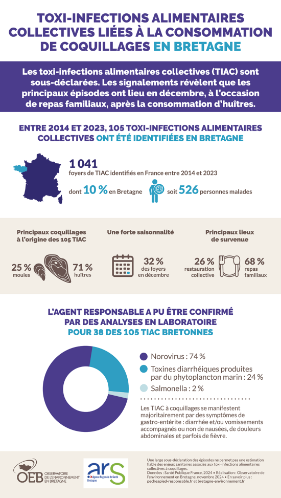 Infographie Toxi-infections alimentaires collectives liées à la consommation de coquillages en Bretagne