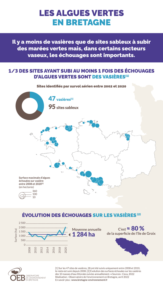 Infographie Les algues vertes en Bretagne