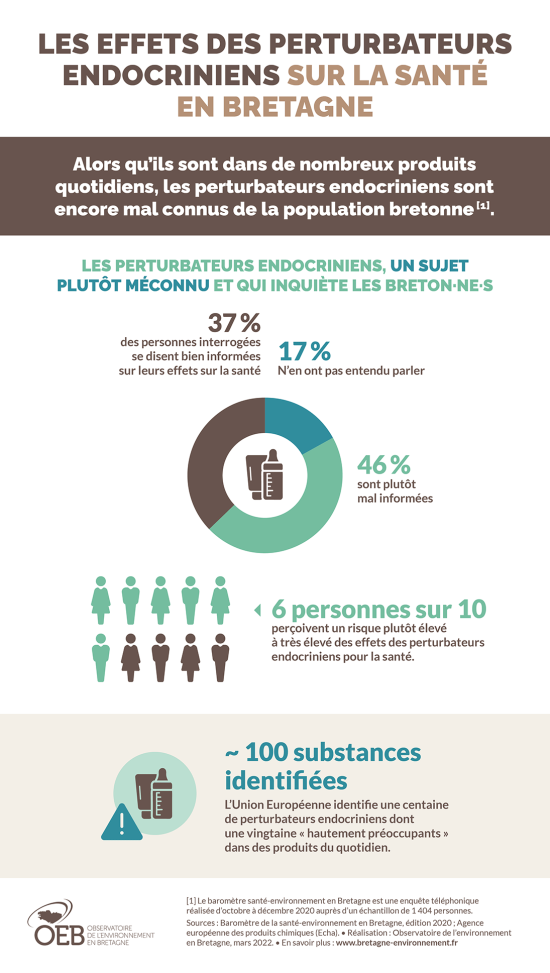 Infographie Les effets des perturbateurs endocriniens sur la santé en Bretagne