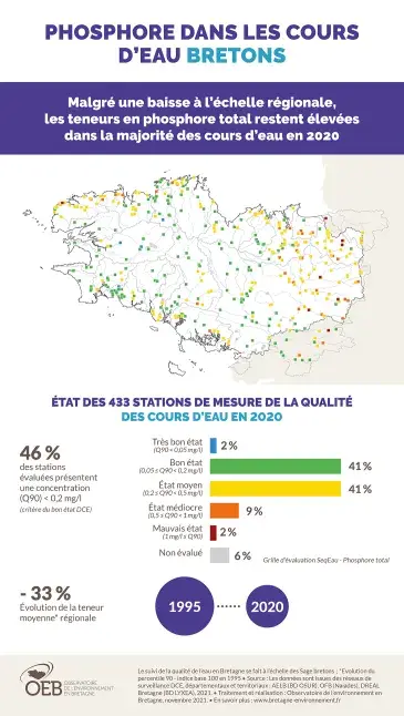 Infographie Phosphore dans les cours d'eau bretons