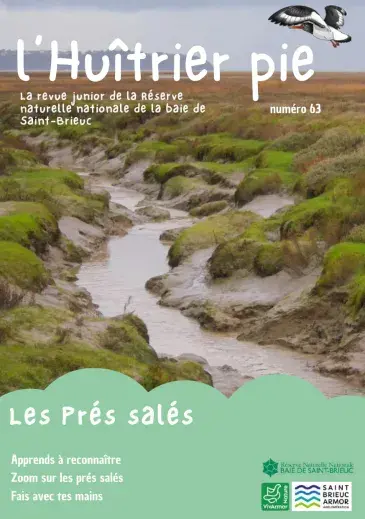 couv L'huîtrier pie n°63 - Les près salés