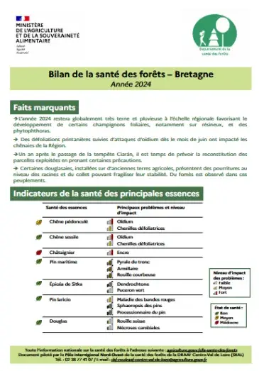 couv Bilan de la santé des forêts en Bretagne 2024
