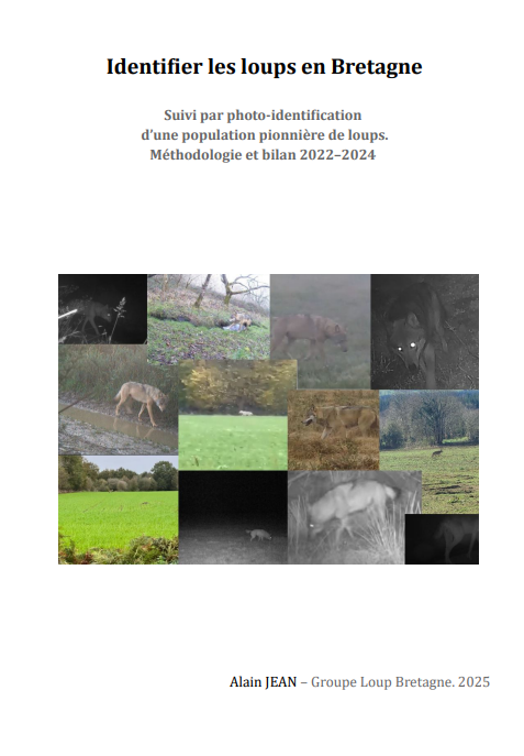 couv Identifier les loups en Bretagne