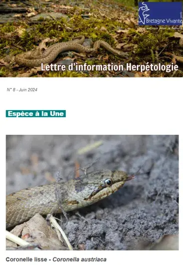couv Lettre d'information herpétologie n°8