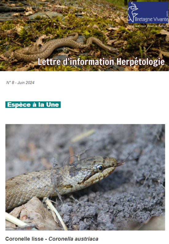 couv Lettre d'information herpétologie n°8