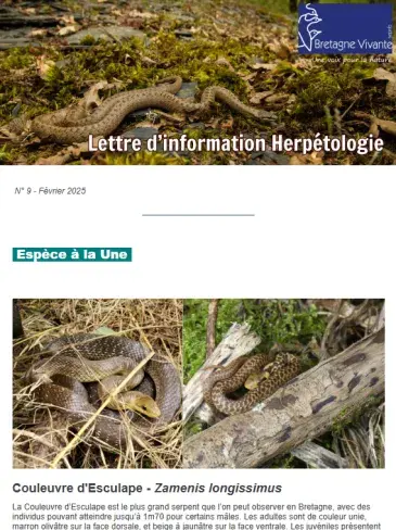 couv Lettre d'information herpétologie n°9