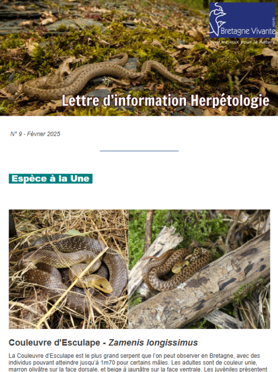 couv Lettre d'information herpétologie n°9