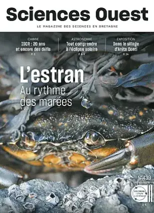 couv Sciences Ouest n°439 - L'estran au rythme des marées