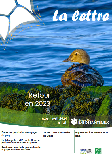 couv Lettre, Réserve naturelle de la baie de Saint-Brieuc n°121 - Retour en 2023