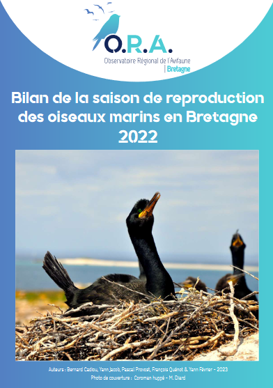 couv Bilan de la saison de reproduction des oiseaux marins en Bretagne en 2022