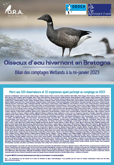 couv Oiseaux d’eau hivernant en Bretagne Bilan des comptages Wetlands à la mi-janvier 2023