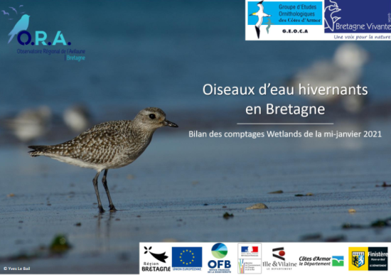 couv Oiseaux d'eau hivernants en Bretagne - Bilan des comptages Wetlands à la mi-janvier 2021