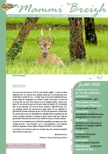 couv Mammi' Breizh n°42