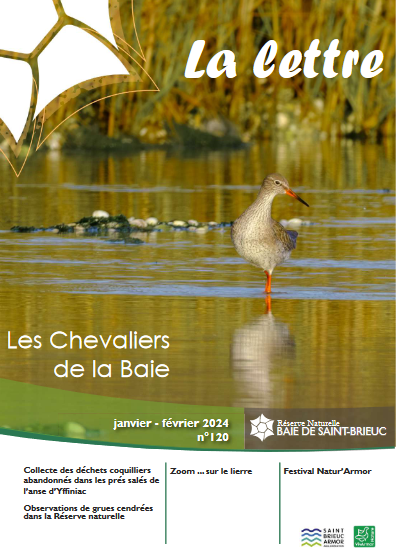 couv Lettre, Réserve naturelle de la baie de Saint-Brieuc n°120 - Les chevaliers de la baie
