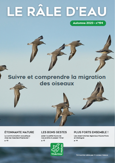 couv Le Râle d'eau n°194 - Suivre et comprendre la migration des oiseaux
