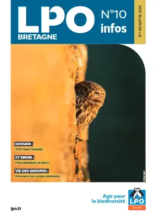 couv LPO Info Bretagne n°10