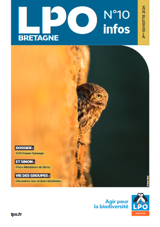 couv LPO Info Bretagne n°10