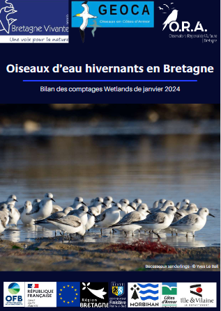 couv Oiseaux d’eau hivernant en Bretagne - Bilan des comptages Wetlands de janvier 2024