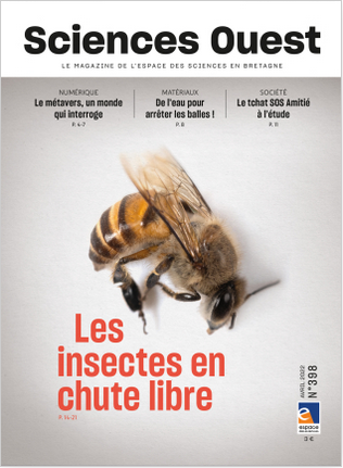 couv Sciences Ouest n°398 - Les insectes en chute libre