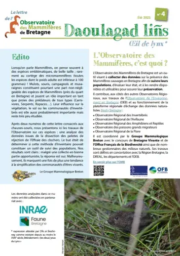 couv Daoulagad lins n°4