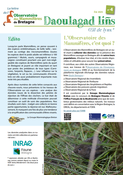 couv Daoulagad lins n°4