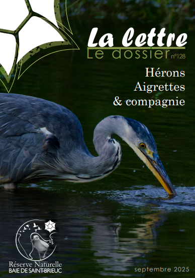 couv La lettre, Réserve naturelle de la baie de Saint-Brieuc n°128 - Hérons, Aigrettes & compagnie