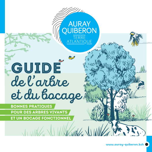 couv Le guide de l'arbre et du bocage