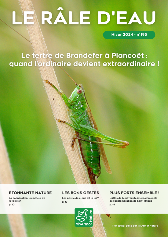 couv Le Râle d'eau n°195 - Le tertre de Brandefer à Plancoët : quand l’ordinaire devient extraordinaire