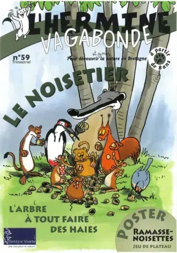 logo L'Hermine Vagabonde - n°59 - Le noisetier : l'arbre à tout faire des haies