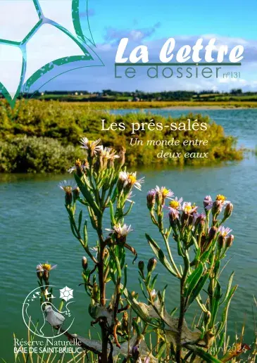couv La lettre, Réserve naturelle de la baie de Saint-Brieuc n°131 - Les prés-salés un monde entre deux eaux