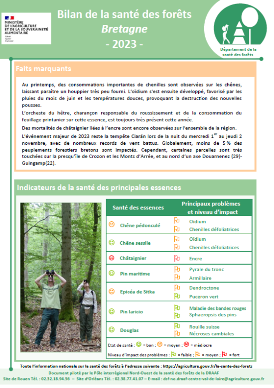 couv Bilan de la santé des forêts en Bretagne - 2023