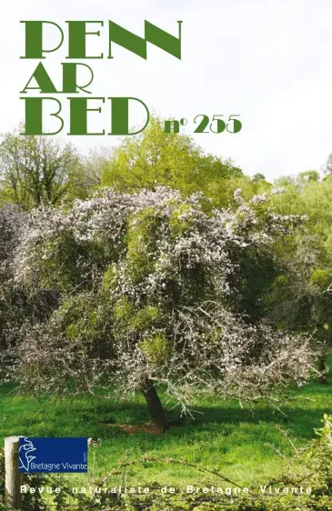 couv Penn ar Bed n°255