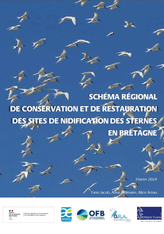 couv Schéma régional de conservation et de restauration des sites de nidification des sternes en Bretagne