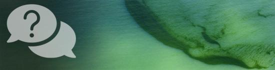 Photo Rideau d'algues vertes dans les eaux littorales