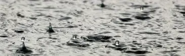 photo Pluie